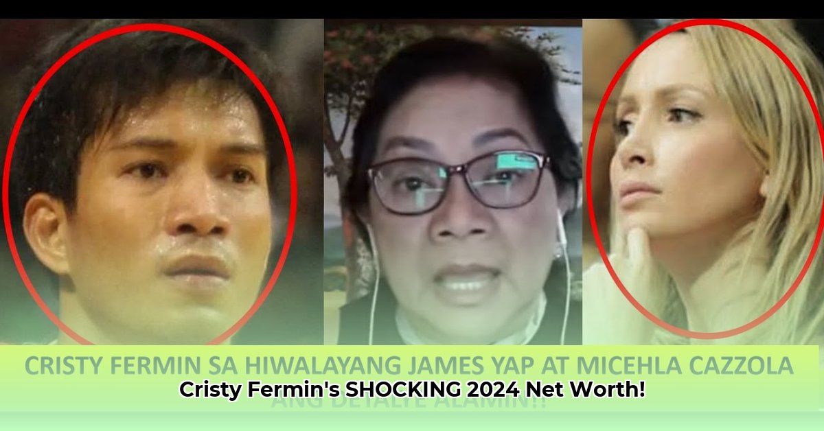 cristy-fermin-net-worth